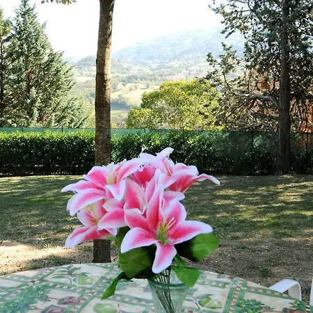 Villamena Assisi