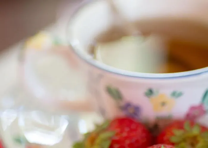 Landhuis Villamena *